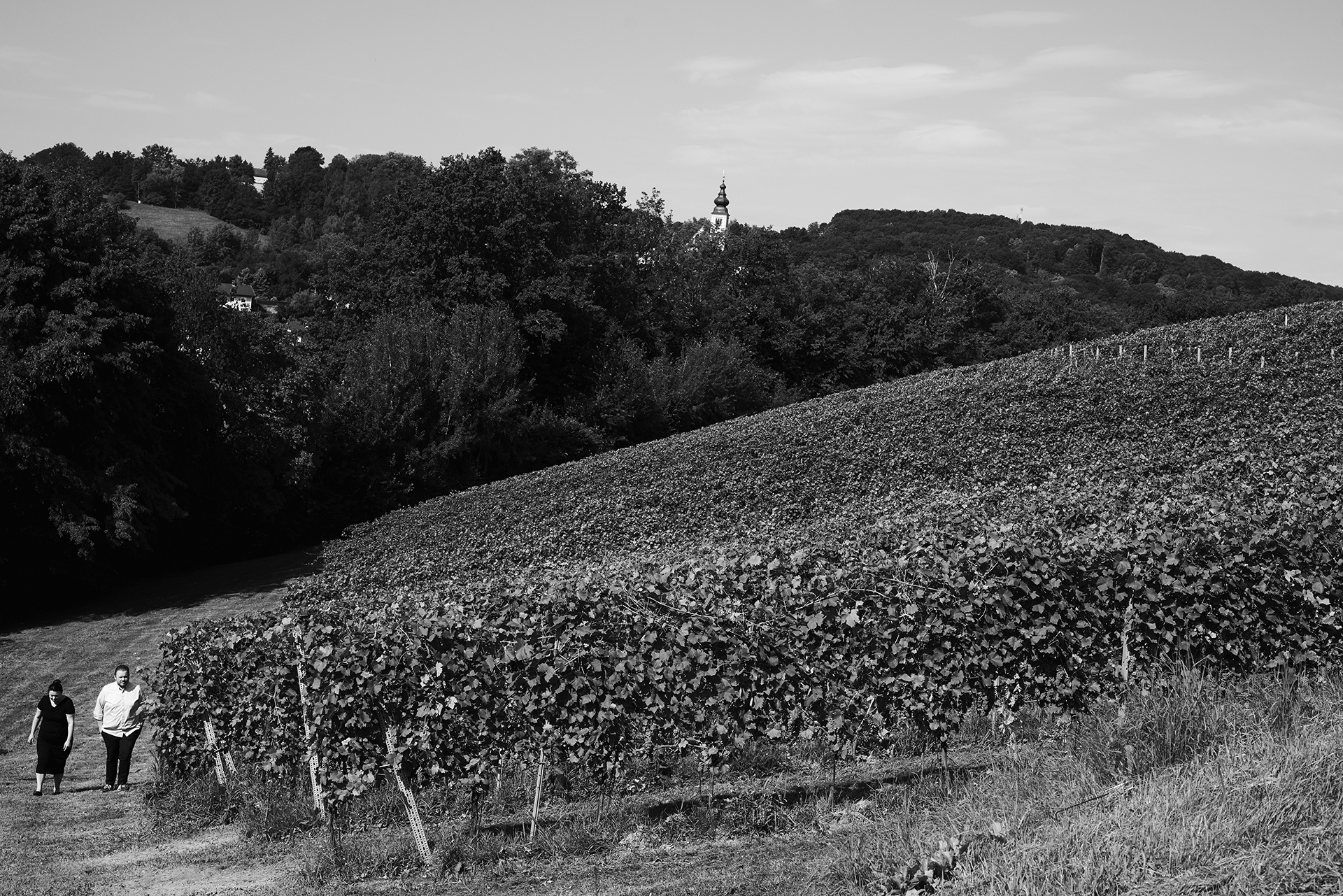 Landschaft Landschaft in der Steiermark